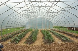 Webinar Preview Image