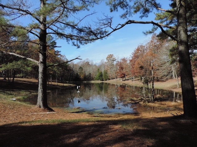 Webinar Preview Image