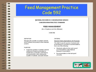 Feed Management image