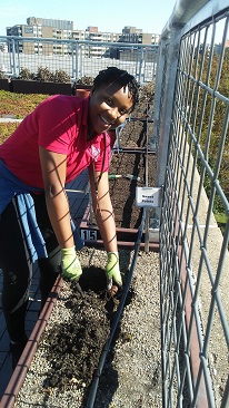 Webinar Preview Image