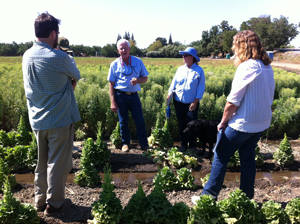 Webinar Preview Image