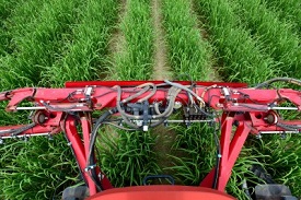 Webinar Preview Image