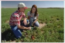 Webinar Preview Image