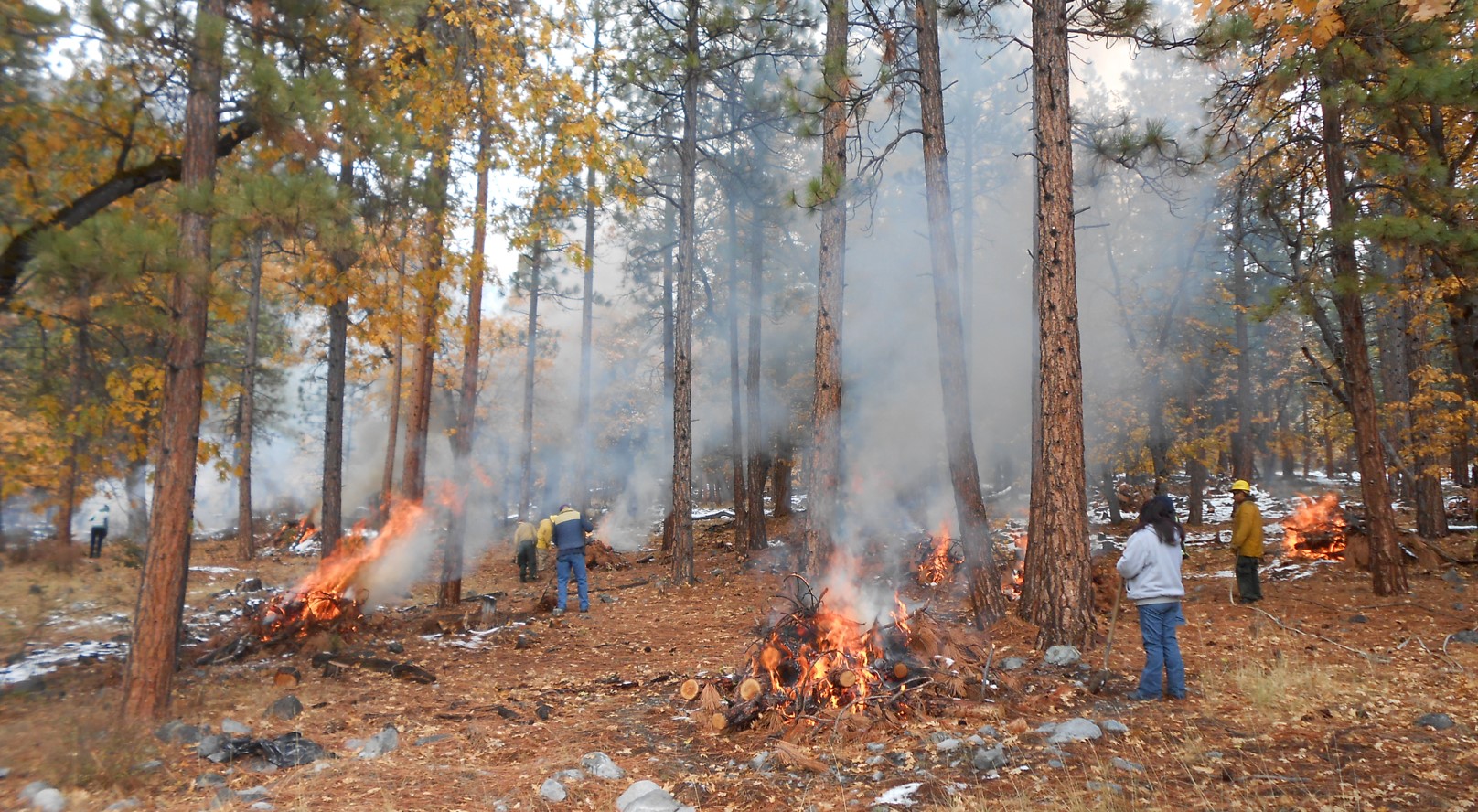 Webinar Preview Image