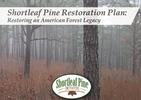 Webinar Sponsor Image