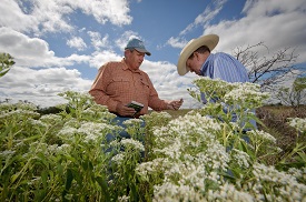 Webinar Preview Image