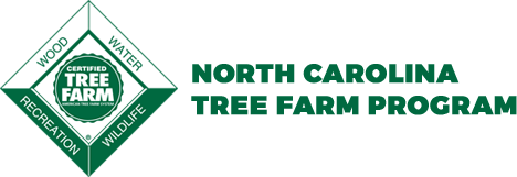 Webinar Sponsor Image