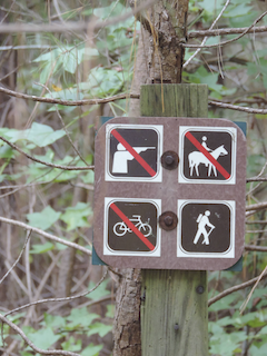 Webinar Preview Image