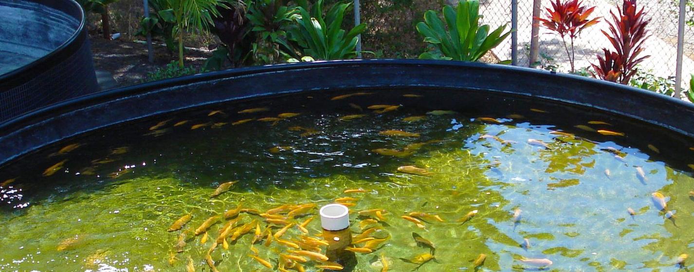 Webinar Preview Image