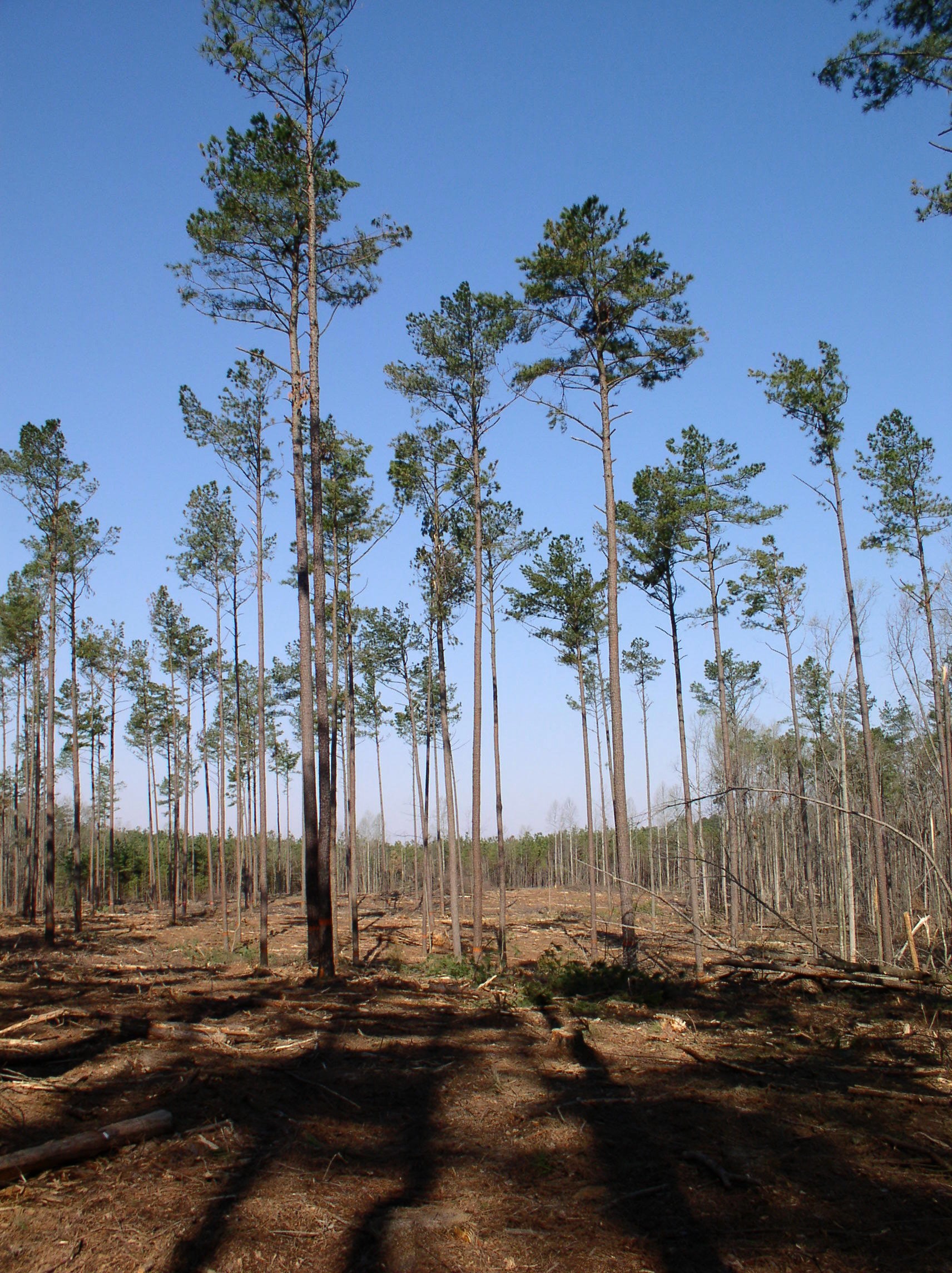 Webinar Preview Image