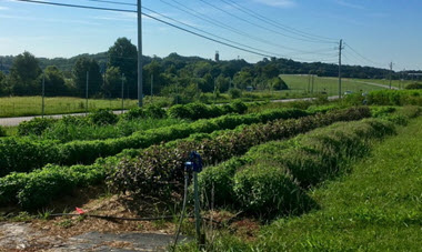 Webinar Preview Image