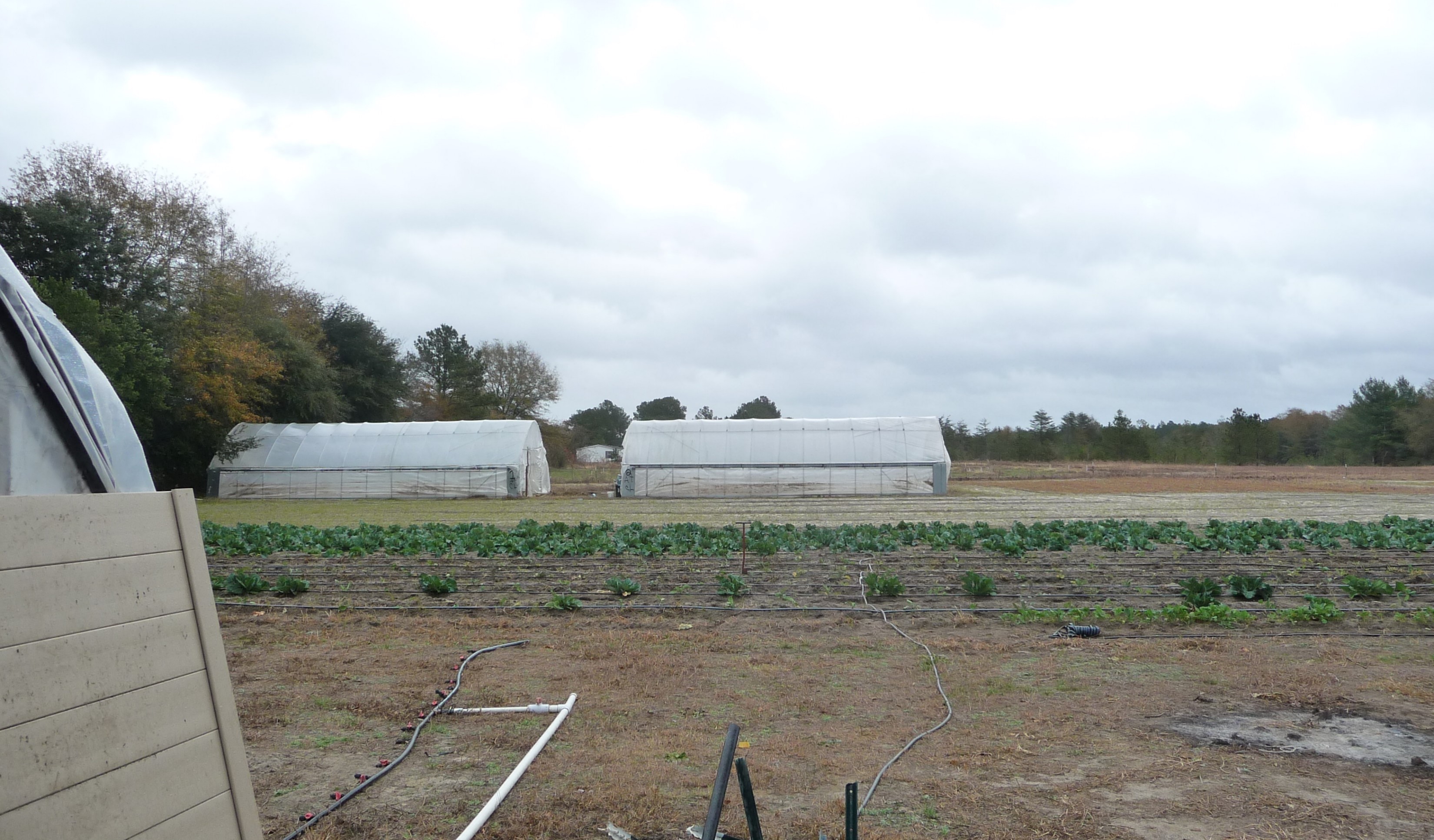 Webinar Preview Image