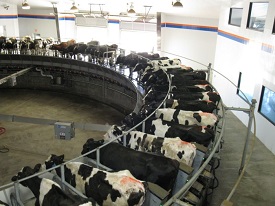 Webinar Preview Image