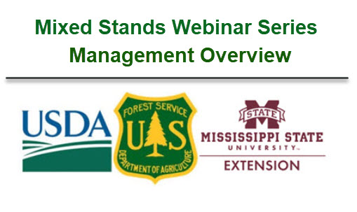 Webinar Preview Image