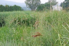 Webinar Preview Image