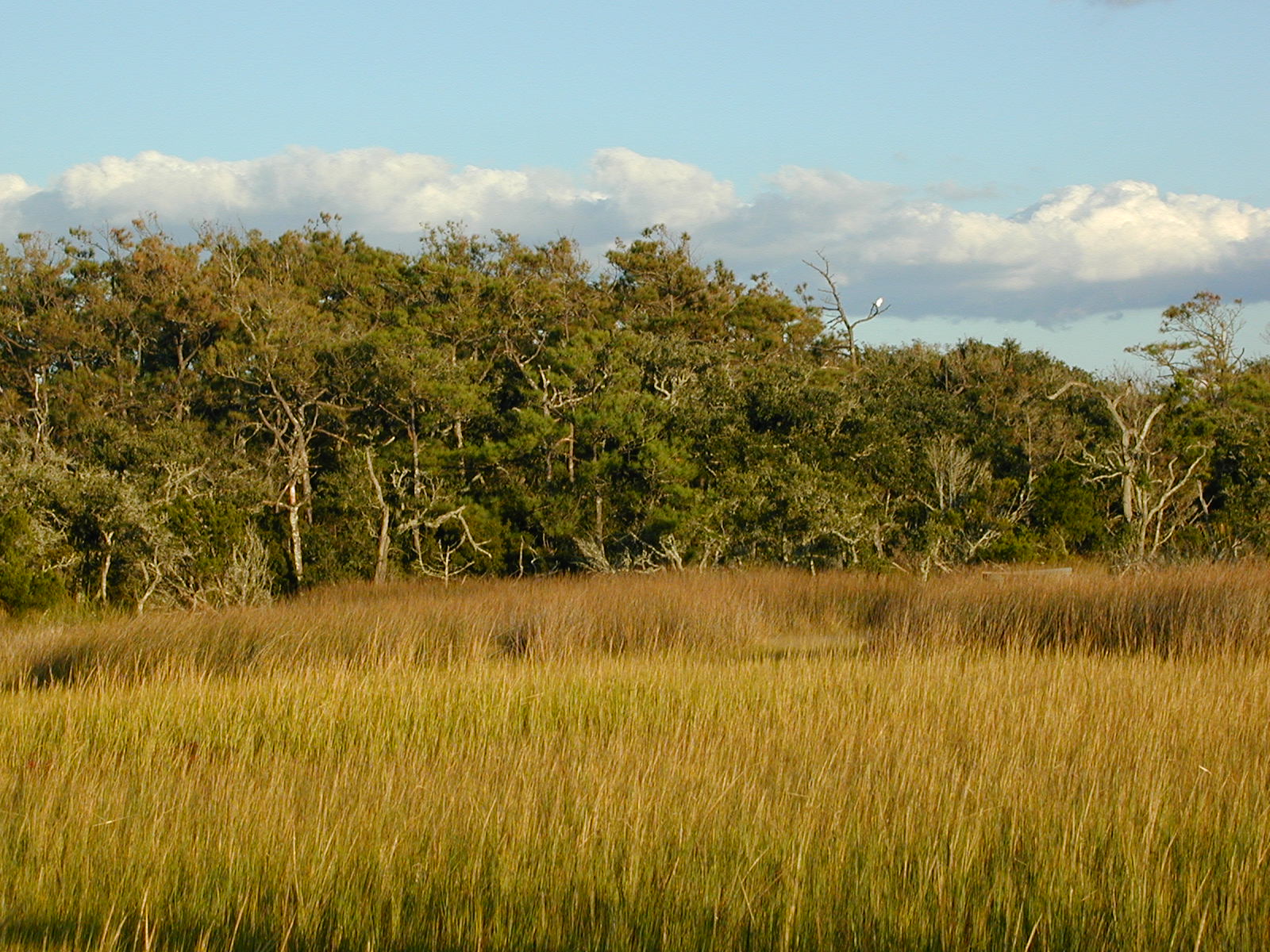 Webinar Preview Image