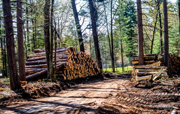 Webinar Preview Image