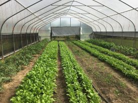 Webinar Preview Image