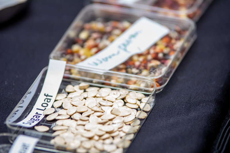 Webinar Preview Image