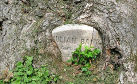 Webinar Preview Image