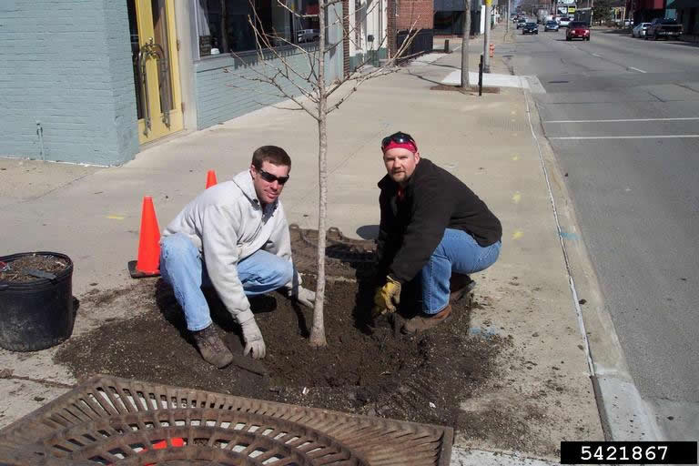 Webinar Preview Image