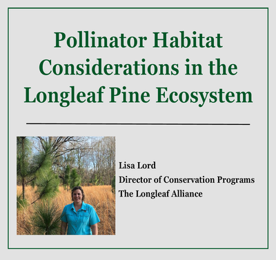 Pollinator Habitat Considerations in the Longleaf Pine Ecosystem