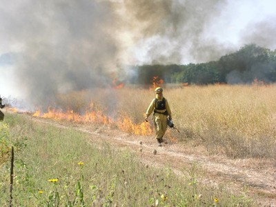 Prescribed Burning image