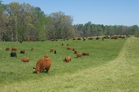 Webinar Preview Image