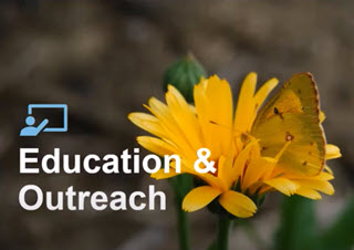 Webinar Preview Image