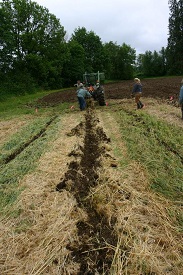 Webinar Preview Image