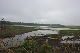 Webinar Preview Image