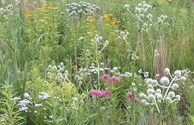 Webinar Preview Image