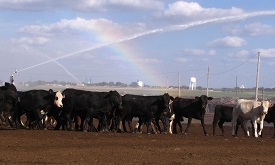 Webinar Preview Image