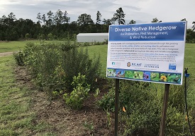 Webinar Preview Image