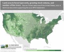 Interactive online tool featuring Forest area