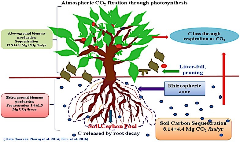 Webinar Preview Image