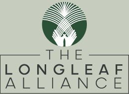 Webinar Preview Image