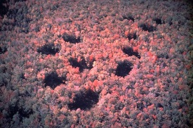 Webinar Preview Image