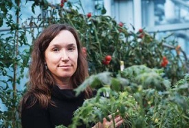 Webinar Preview Image