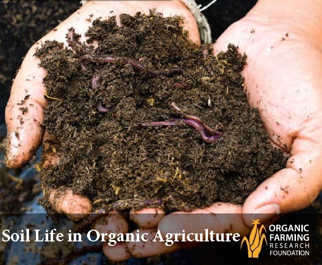 Webinar Preview Image