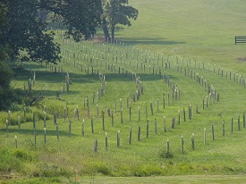 Webinar Preview Image