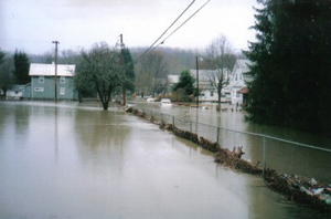 Webinar Preview Image