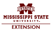 Webinar Sponsor Image