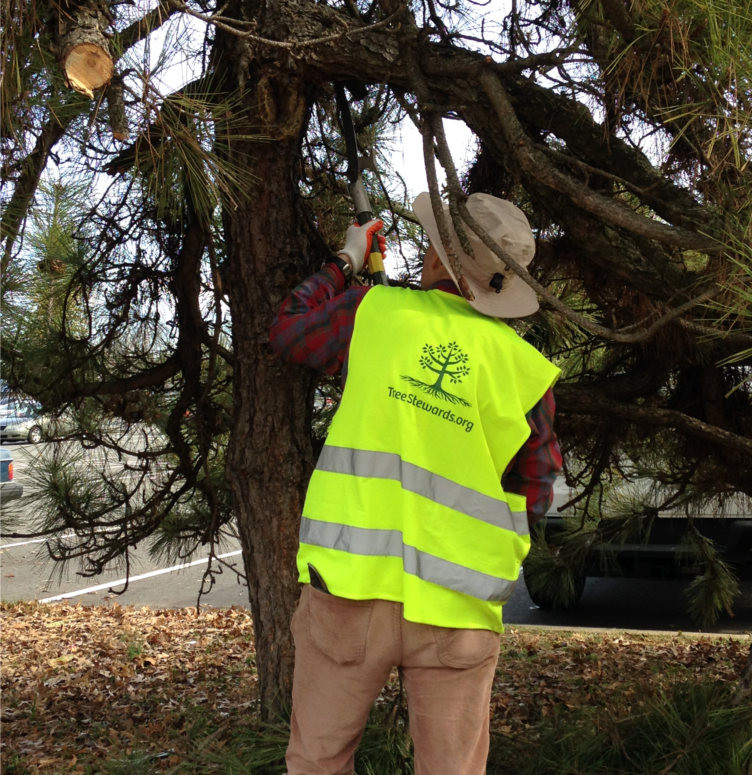 Webinar Preview Image