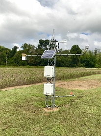 Webinar Preview Image