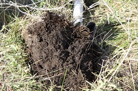 Webinar Preview Image