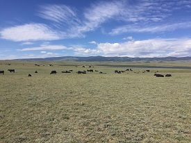 Webinar Preview Image