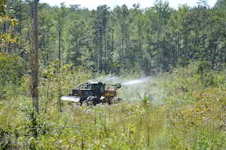 Webinar Preview Image