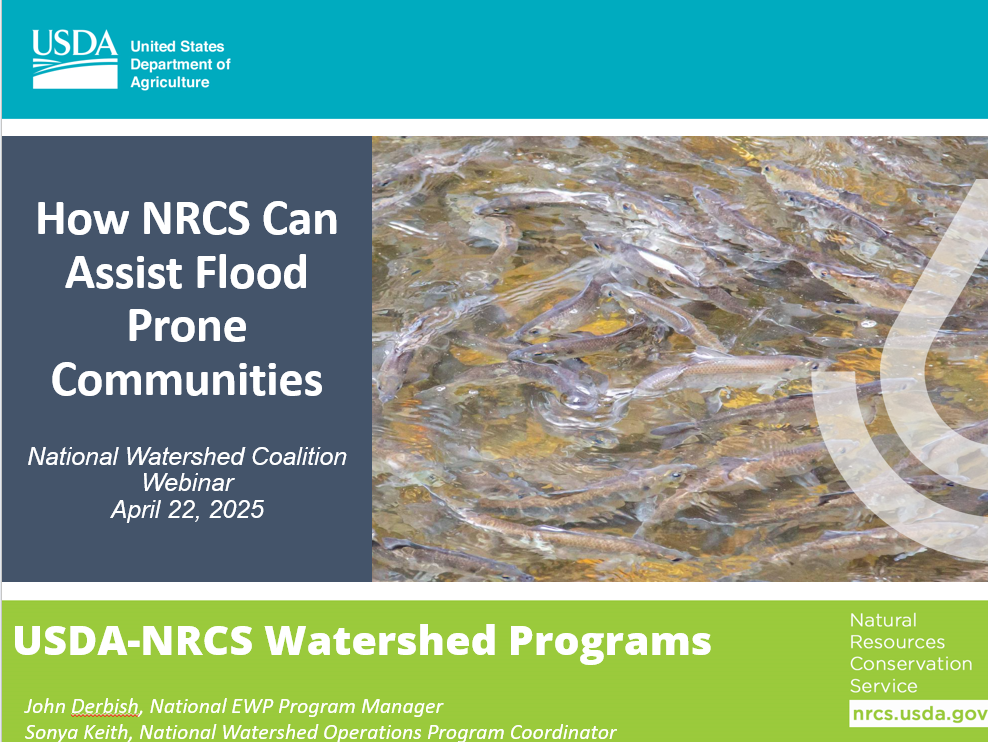 Webinar Preview Image