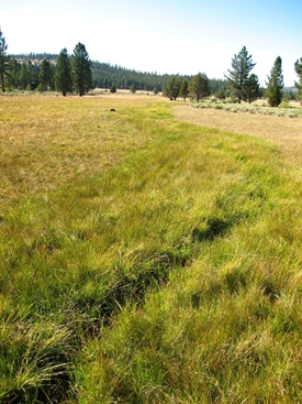 Webinar Preview Image